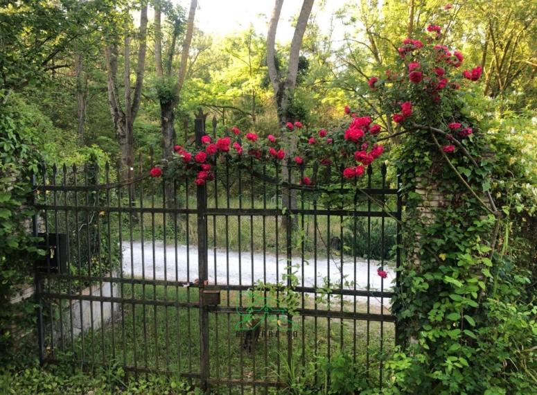 Fano - zona carignano - rustico casolare cascina in vendita