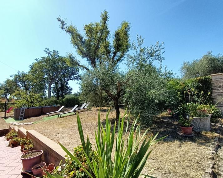 Cartoceto - rustico casolare cascina in vendita