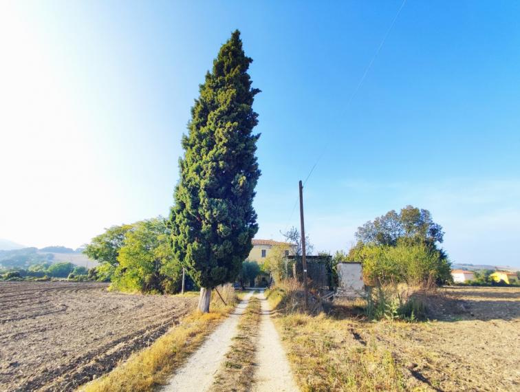 Fossombrone - rustico casolare cascina in vendita