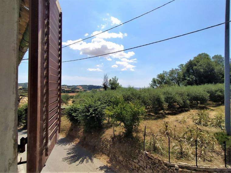Fano - zona carignano - unifamiliare semindipendente in vendita