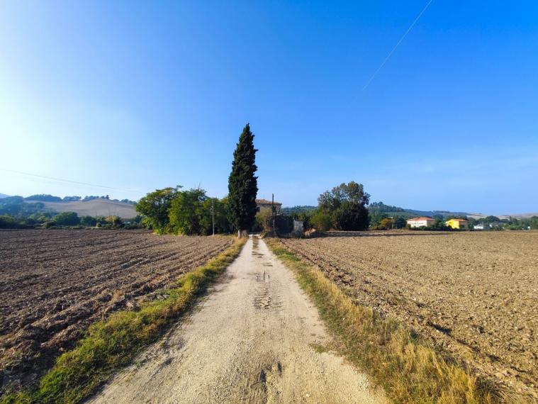 Fossombrone - rustico casolare cascina in vendita