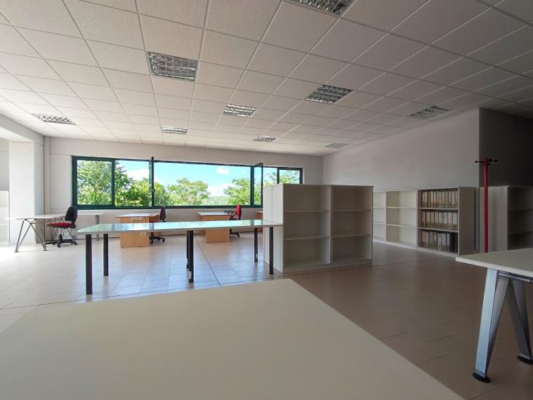 Fano - zona metaurilia - ufficio in locazione