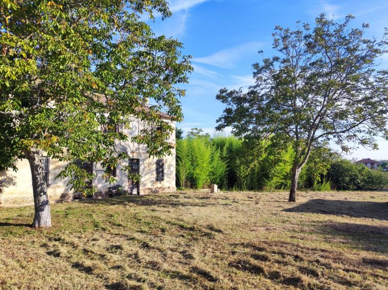 Cartoceto - rustico casolare cascina in vendita
