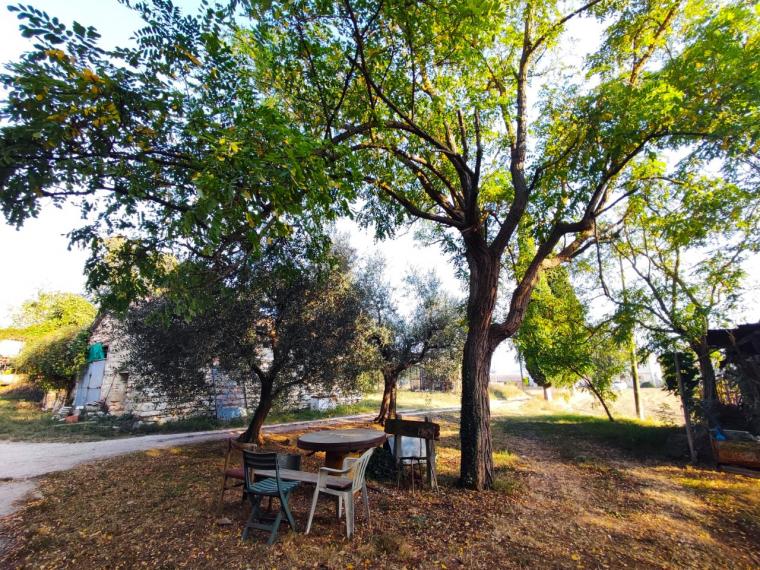 Fossombrone - rustico casolare cascina in vendita
