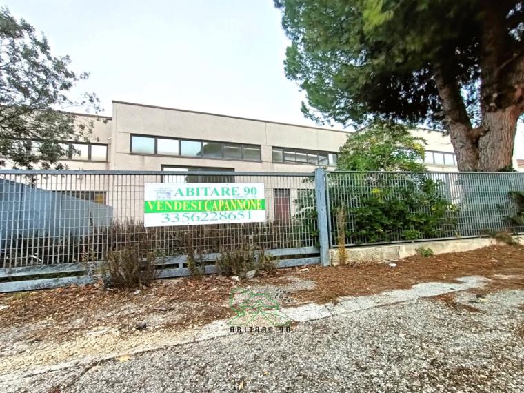 Fano - zona zuccherificio - capannone in vendita
