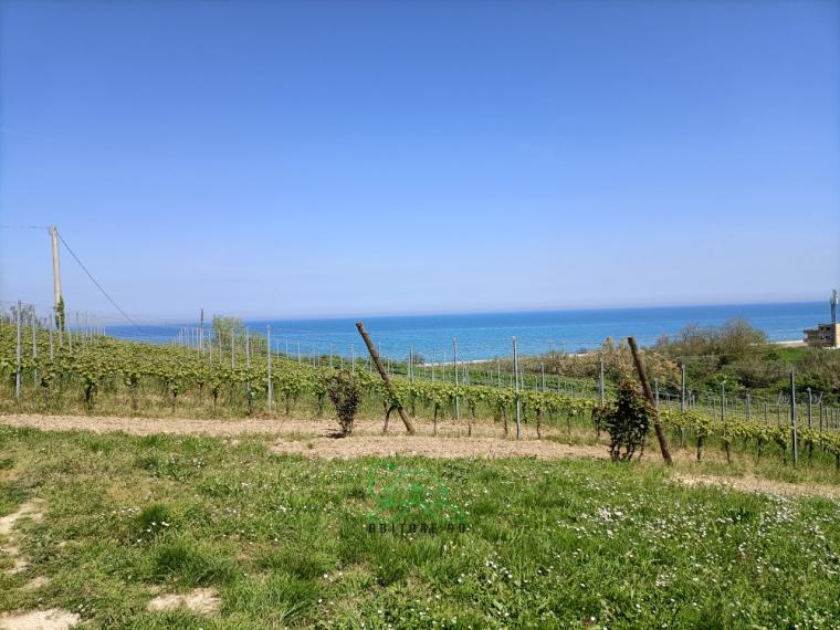 Fano - zona san biagio - rustico casolare cascina in vendita