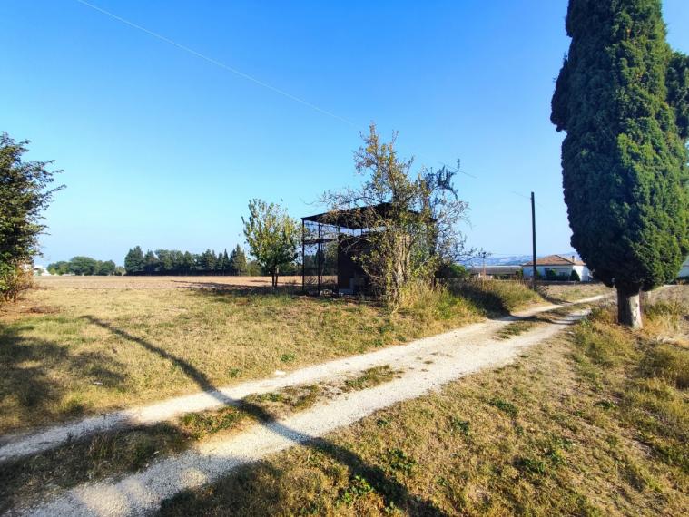 Fossombrone - rustico casolare cascina in vendita
