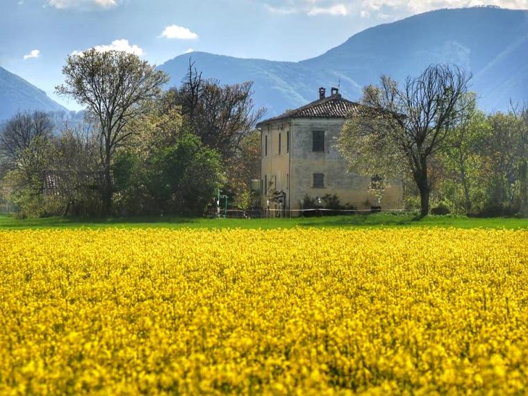 Fossombrone - rustico casolare cascina in vendita