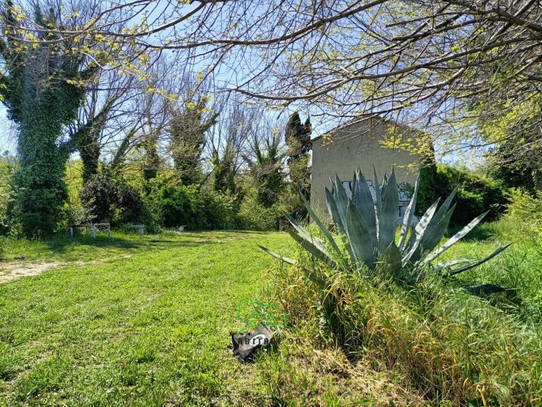 Fano - zona san biagio - rustico casolare cascina in vendita