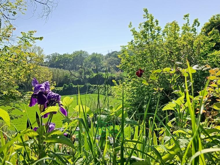 Fano - zona san biagio - rustico casolare cascina in vendita