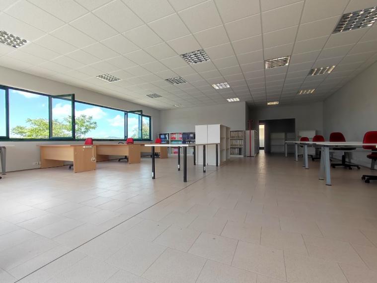 Fano - zona metaurilia - ufficio in locazione