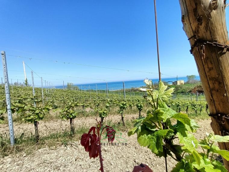 Fano - zona san biagio - rustico casolare cascina in vendita