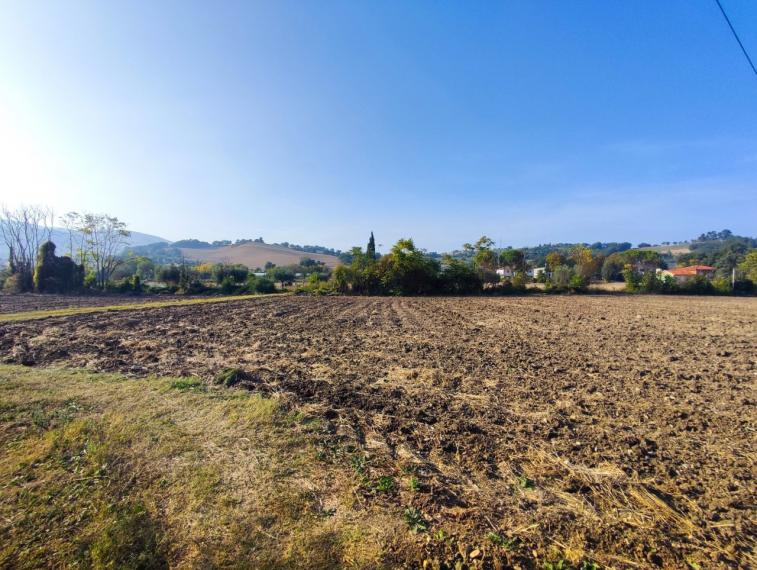 Fossombrone - rustico casolare cascina in vendita
