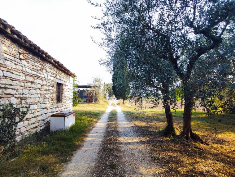 Fossombrone - rustico casolare cascina in vendita