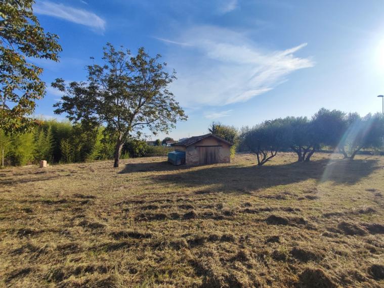 Cartoceto - rustico casolare cascina in vendita