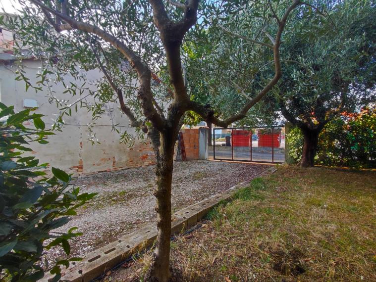 Fano - zona bellocchi - rustico casolare cascina in vendita