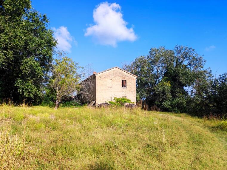 Fano - zona sant'andrea in villis - rustico casolare cascina in vendita