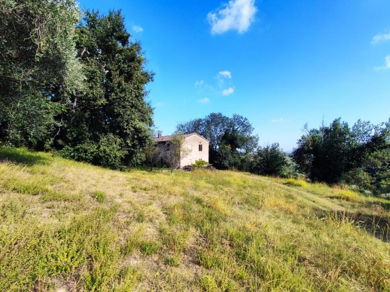 Fano - zona sant'andrea in villis - rustico casolare cascina in vendita