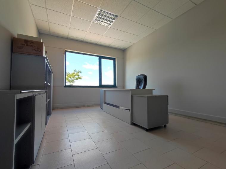 Fano - zona metaurilia - ufficio in locazione