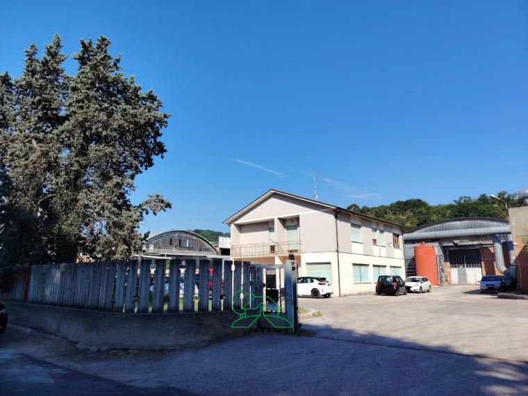 Fano - zona rosciano - palazzo commerciale in vendita