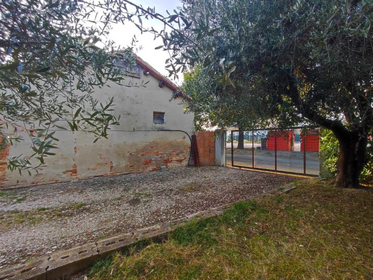 Fano - zona bellocchi - rustico casolare cascina in vendita