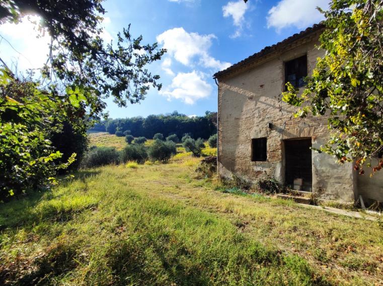 Fano - zona sant'andrea in villis - rustico casolare cascina in vendita