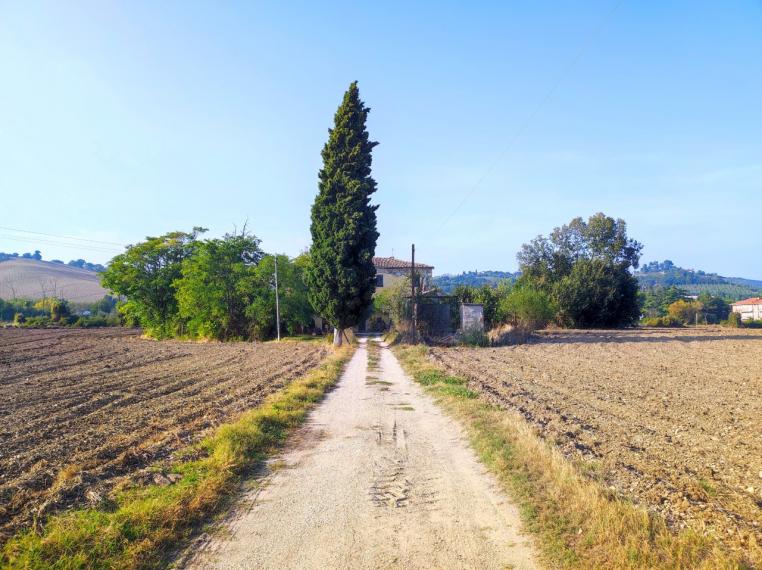 Fossombrone - rustico casolare cascina in vendita
