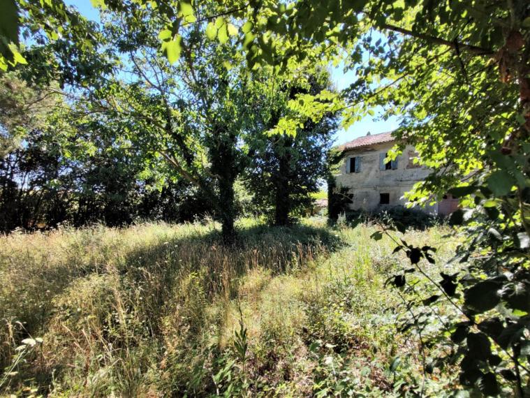 Cartoceto - rustico casolare cascina in vendita