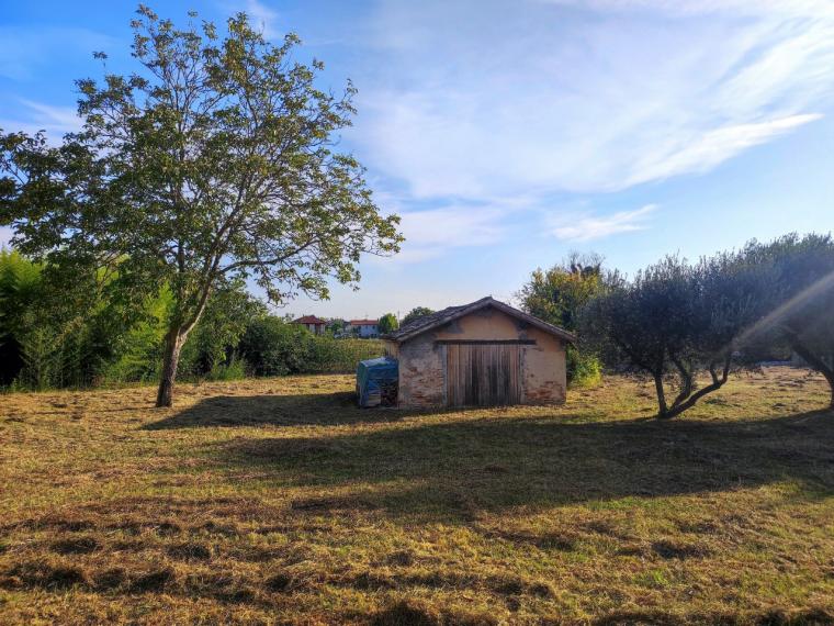 Cartoceto - rustico casolare cascina in vendita