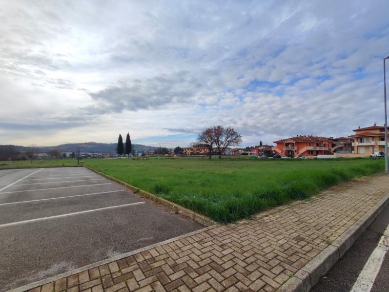 Colli al metauro - terreno in vendita