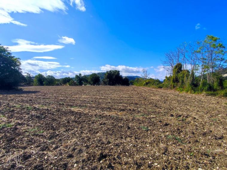 Fossombrone - rustico casolare cascina in vendita