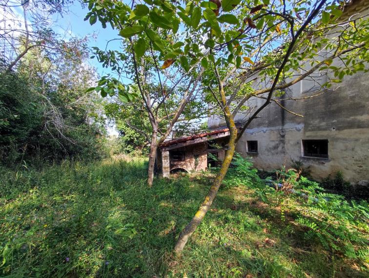 Fano - zona sant'andrea in villis - rustico casolare cascina in vendita