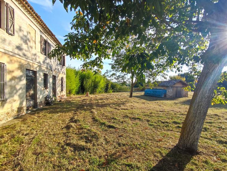 Cartoceto - rustico casolare cascina in vendita