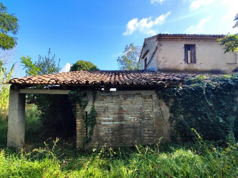 Fano - zona sant'andrea in villis - rustico casolare cascina in vendita