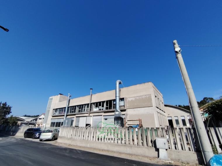 Fano - zona rosciano - ufficio in vendita