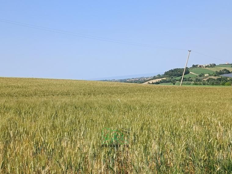 Fano - zona caminate - rustico casolare cascina in vendita