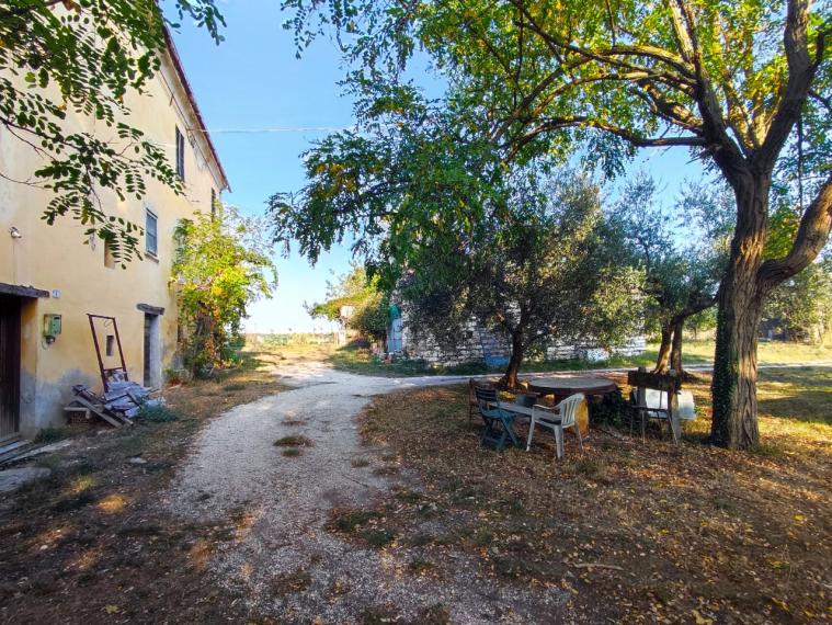 Fossombrone - rustico casolare cascina in vendita