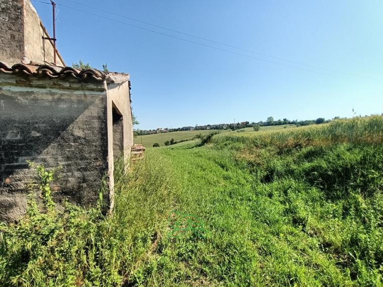 Fano - zona caminate - rustico casolare cascina in vendita