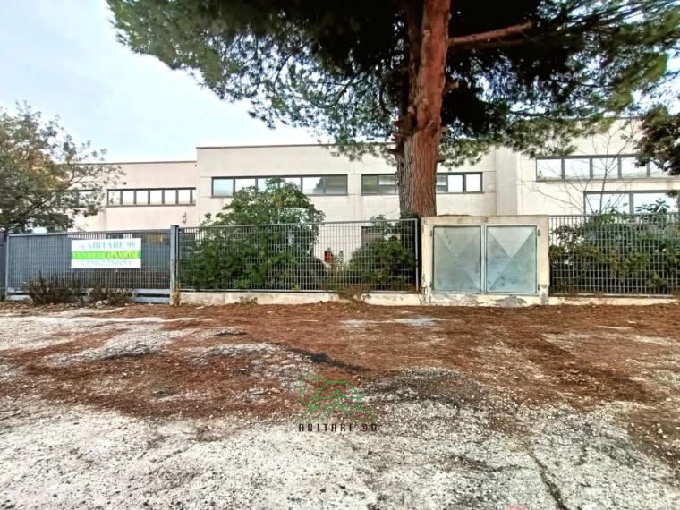 Fano - zona zuccherificio - capannone in vendita