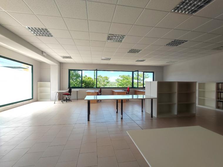 Fano - zona metaurilia - ufficio in locazione