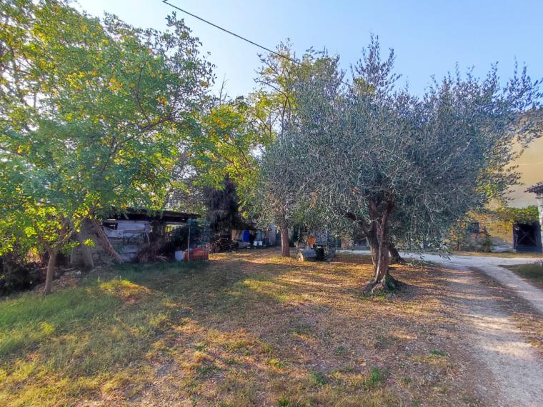 Fossombrone - rustico casolare cascina in vendita