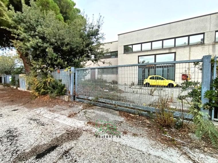 Fano - zona zuccherificio - capannone in vendita