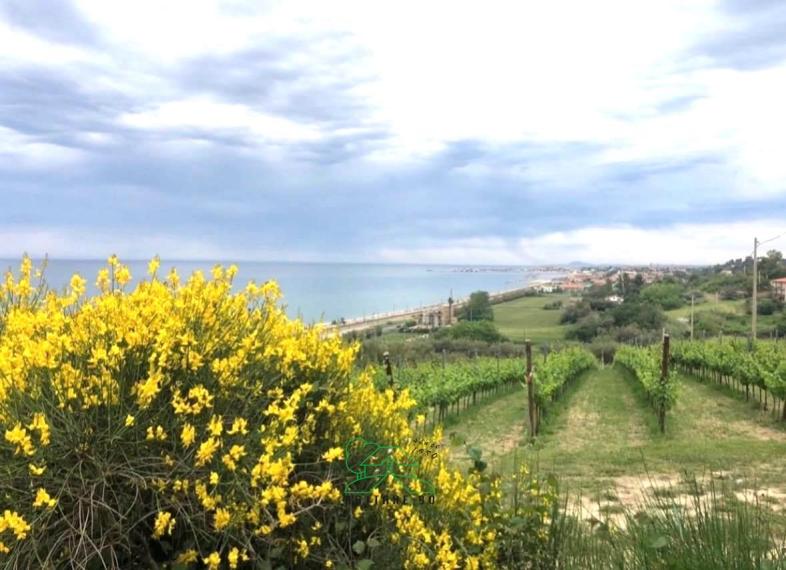Fano - zona san biagio - rustico casolare cascina in vendita