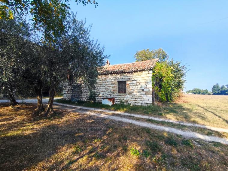 Fossombrone - rustico casolare cascina in vendita