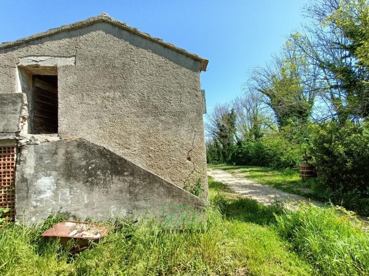 Fano - zona san biagio - rustico casolare cascina in vendita