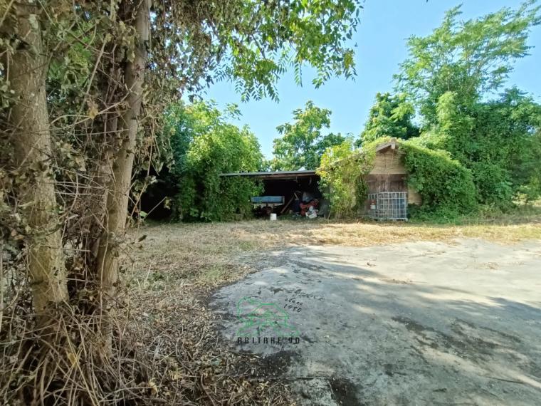Cartoceto - rustico casolare cascina in vendita