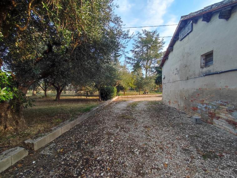 Fano - zona bellocchi - rustico casolare cascina in vendita
