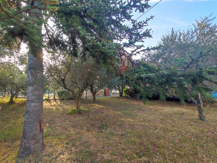 Fano - zona bellocchi - rustico casolare cascina in vendita