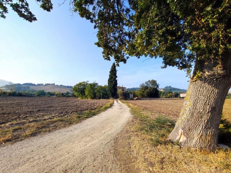 Fossombrone - rustico casolare cascina in vendita
