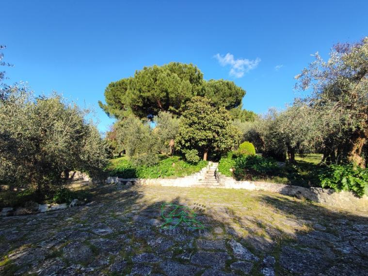 Fano - zona roncosambaccio - unifamiliare villa in vendita